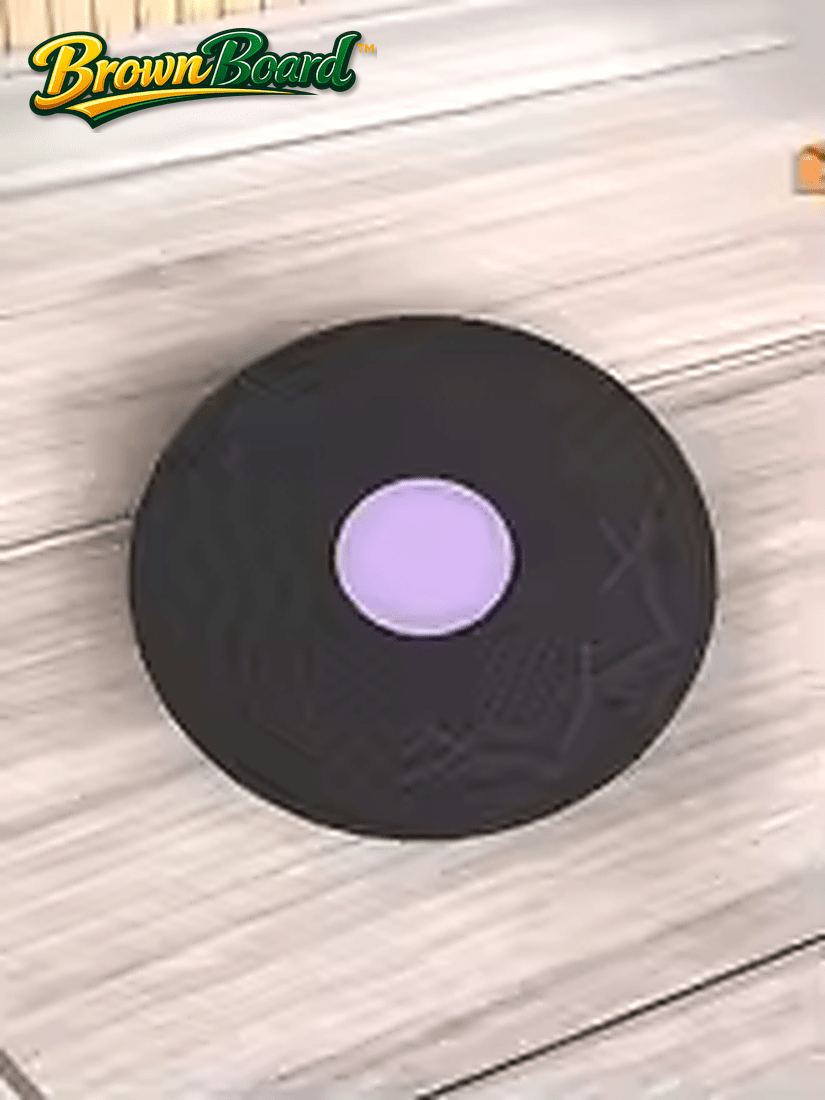BrownBoard™ Tavola di Equilibrio 360° Antiscivolo - Brown's Hub Web